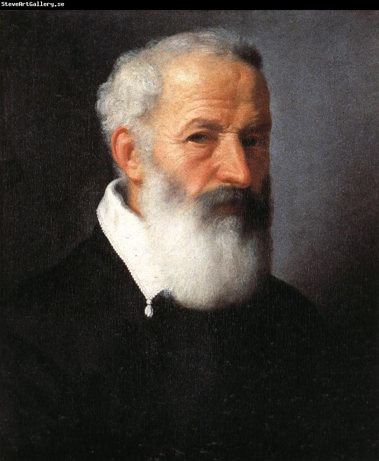 MORONI, Giovanni Battista Portrait of an Old Man